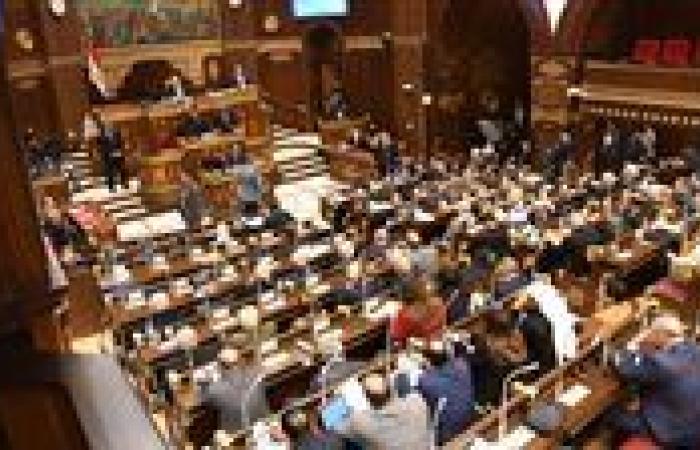 اليوم.. إعلان النتيجة الرسمية لانتخابات مجلس الشيوخ 2025