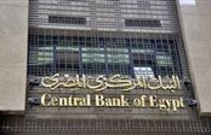 «المركزي» يلزم البنوك بتسوية مدفوعات نقاط البيع بالجنيه المصري