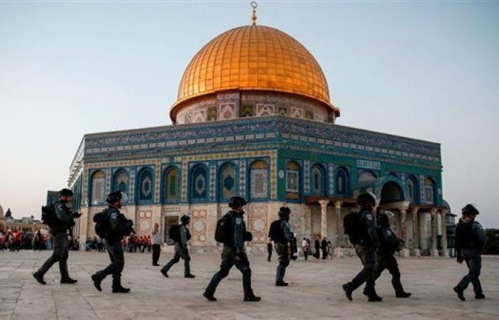 النيران تجتاح إسرائيل.. حرائق فى غابات إشتاول بالقدس المحتلة