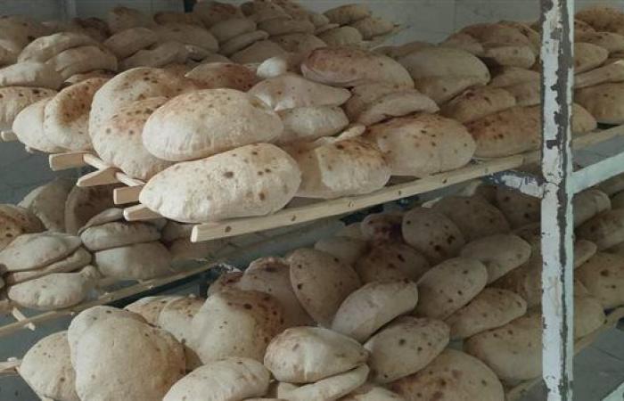 كارت موحد بدل الخبز المدعم.. هل اقترب اليوم الموعود؟