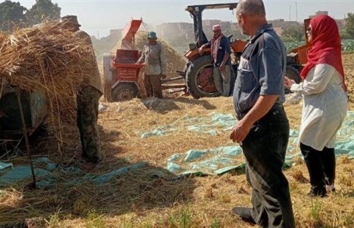 خطة وزارة البيئة لمواجهة "السحابة السوداء"