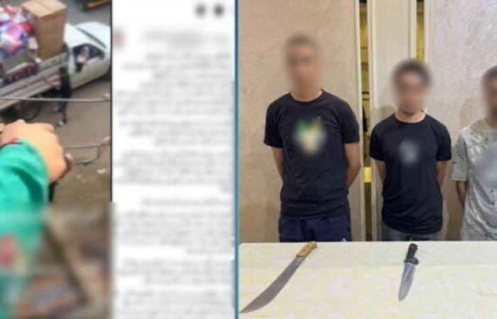 خلافات عائلية.. ملابسات فيديو تضرر سيدة من شقيق طليقها بالدقهلية