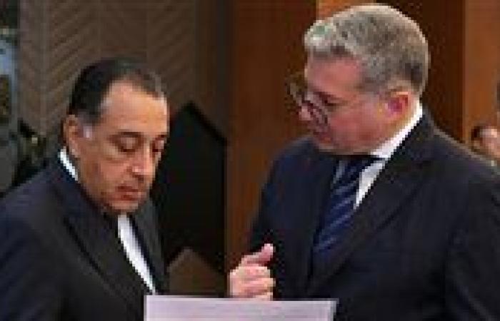 الحكومة توافق على بيع قطعة أرض بالمنوفية إلى شركة بتروجاس