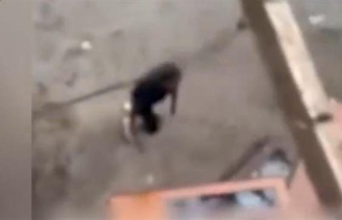 الداخلية تكشف ملابسات فيديو اعتداء أشخاص على سيدة بالدقهلية
