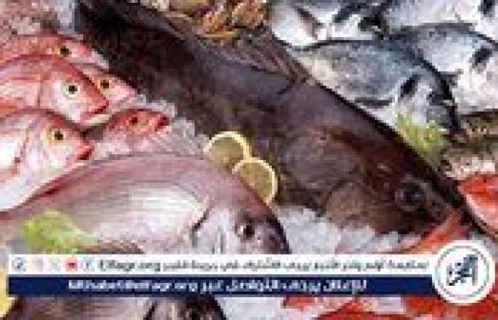 أسعار السمك اليوم الاربعاء 13-8-2025 في محافظة قنا