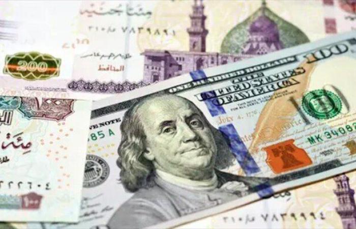 خبير اقتصادي يكشف مزايا الضوابط الجديدة لاستخدام بطاقات الائتمان للمسافرين