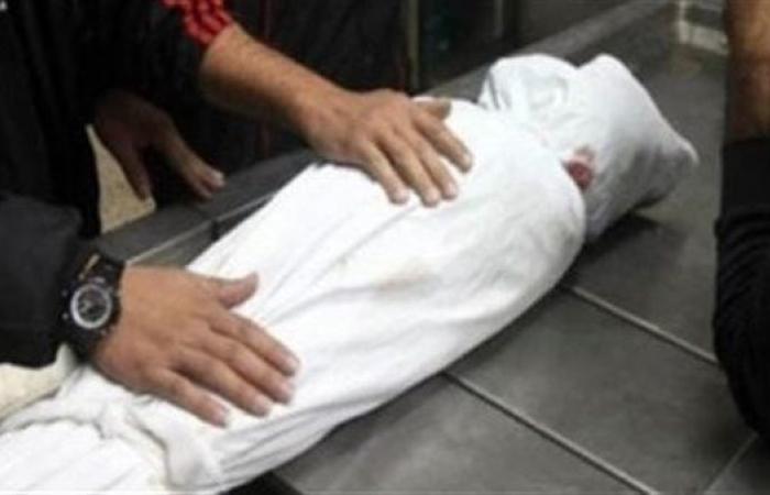 مات في الحال.. حمار ينهي حياة طفل برفسة قوية بالمنوفية
