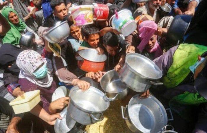 الأمم المتحدة: الجوع في قطاع غزة يبلغ أعلى مستوياته