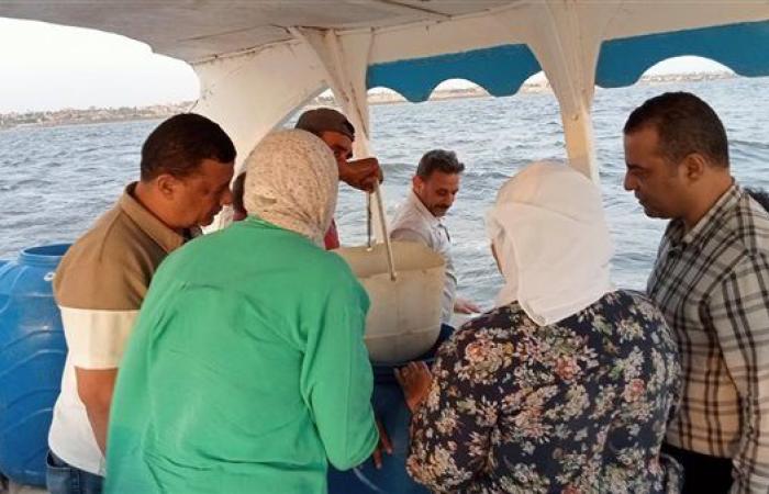 تنمية البحيرات يطلق الدفعة الثالثة من يرقات الجمبري في بحيرة قارون بالفيوم