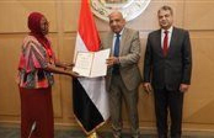 الكهرباء: نعمل على تعزيز التعاون مع الدول الافريقية
