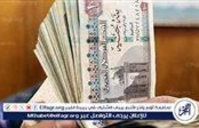 قانون الضمان الاجتماعي يكشف الحالات التي تحرم المستفيد من الدعم النقدي (تفاصيل)