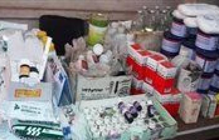 ضبط 180 عبوة أدوية بيطرية منتهية الصلاحية ومجهولة المصدر بالغربية