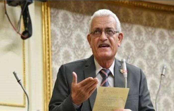 التيك توك به استخدمات مفيدة.. تشريعية النواب تعلن مفاجأة بعد طلبات الحجب