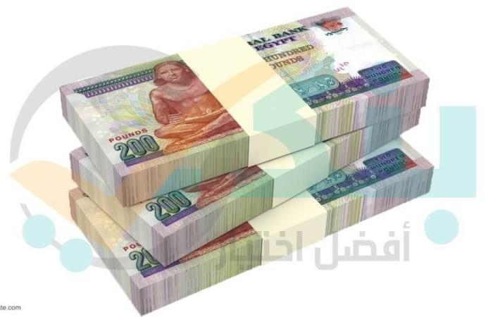 CIB وQNB مصر يستحوذان على 59.28% من القروض المشتركة ...