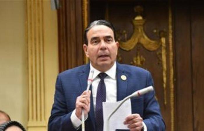أيمن أبو العلا: خدمات "الصحة" تعكس جدية الدولة في النهوض بالقطاع وتلبية احتياجات المواطنين