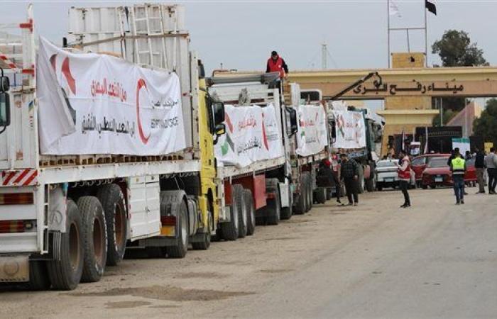 الهلال الأحمر المصري يدفع 2400 طن مساعدات في قافلة «زاد العزة» الـ 16 إلى غزة