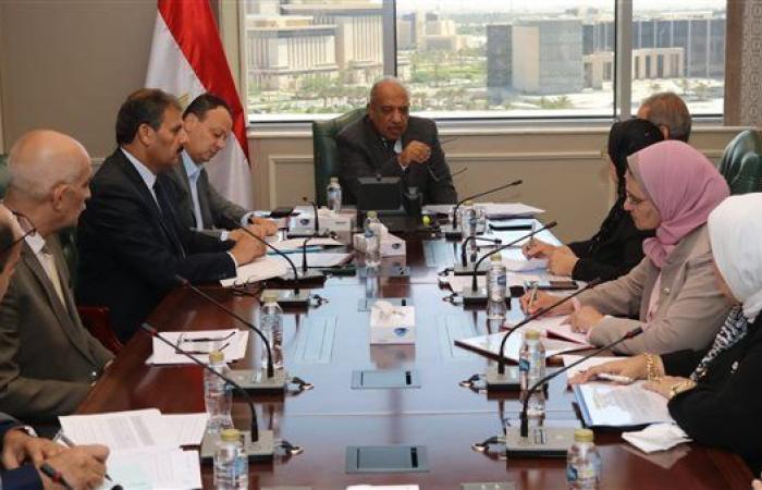 وزير الكهرباء يتابع مجريات الفصل وفض التشابك بين الشركات