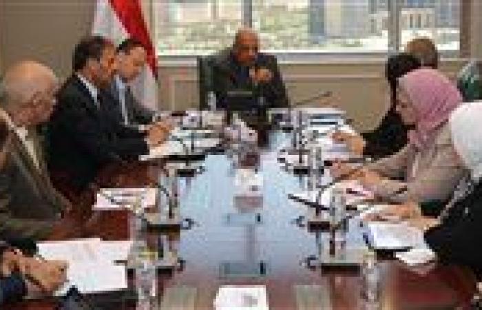 وزير الكهرباء: إعادة هيكلة الشركة المصرية كمشغل مستقل لمنظومة نقل الكهرباء