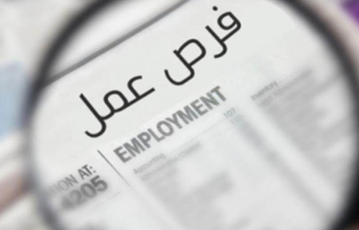 وظائف جديدة في وزارة  الكهرباء.. التخصصات وآخر موعد للتقديم
