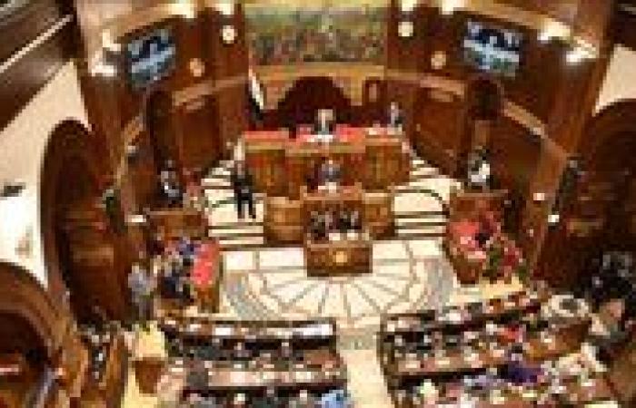 برلماني: التحركات الدبلوماسية المصرية جدار صد ضد أوهام "إسرائيل الكبرى"