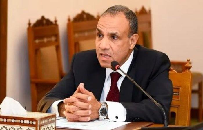 وزير الخارجية : لا يستبعد نشر قوات مصرية بشكل مؤقت في غزة ضمن أفق سياسي وبموجب قرار أممي