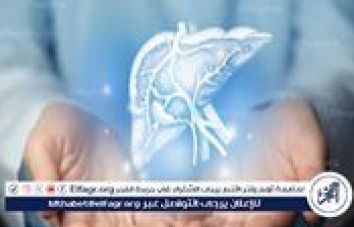 علاج الكبد الدهني في 90 يومًا.. 7 تغييرات بسيطة تُحدث فرقًا كبيرًا