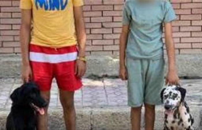 الداخلية تكشف ملابسات فيديو اعتداء باستخدام سلاح أبيض وكلبين في الإسكندرية