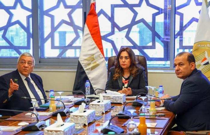 «التنمية المحلية» تعلن تطوير المسارات والأسواق في بورسعيد ورشيد