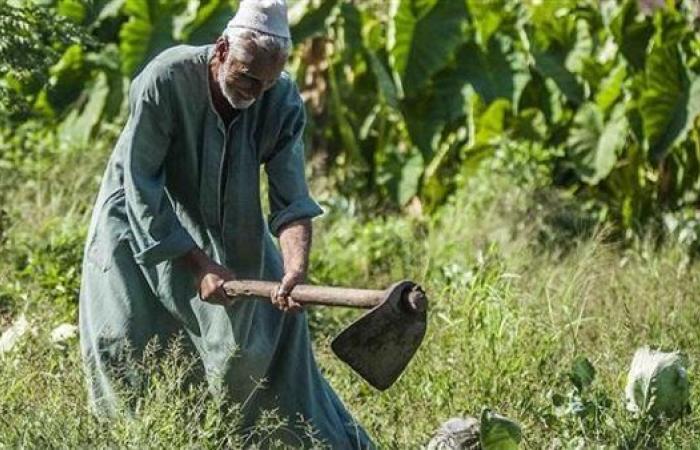 المركز الإعلامي لمجلس الوزراء: تمكين الفلاح ...