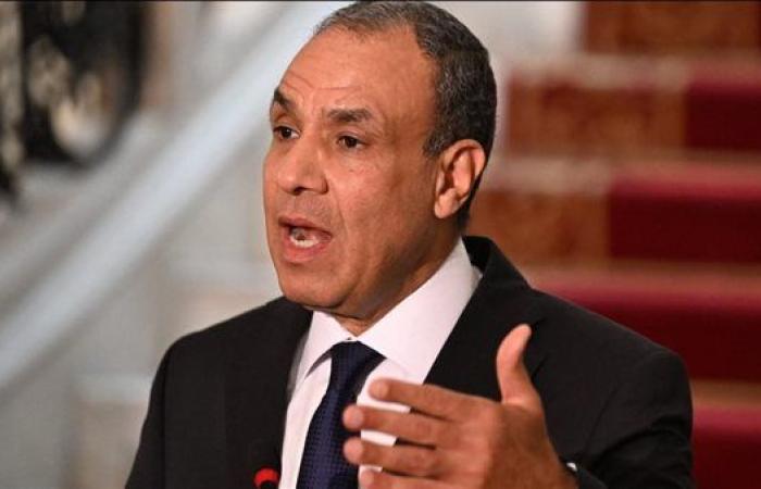 وزير الخارجية يشدد على أهمية توفير الحماية الأمنية للبعثة الدبلوماسية المصرية فى هولندا