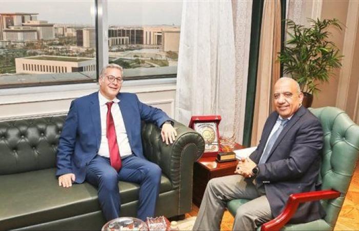 وزيرا الكهرباء والبترول يؤكدان على خطة العمل التكاملية لتوطين الصناعة ونقل التكنولوجيا