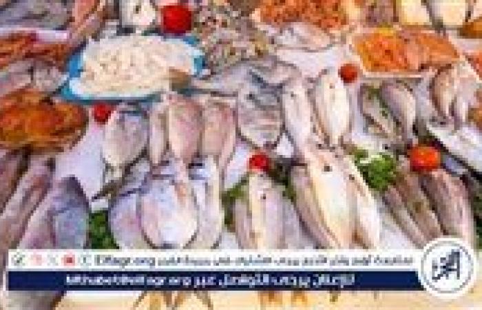 أسعار السمك البلطي والبوري اليوم الاربعاء 20-8-2025 في محافظة قنا