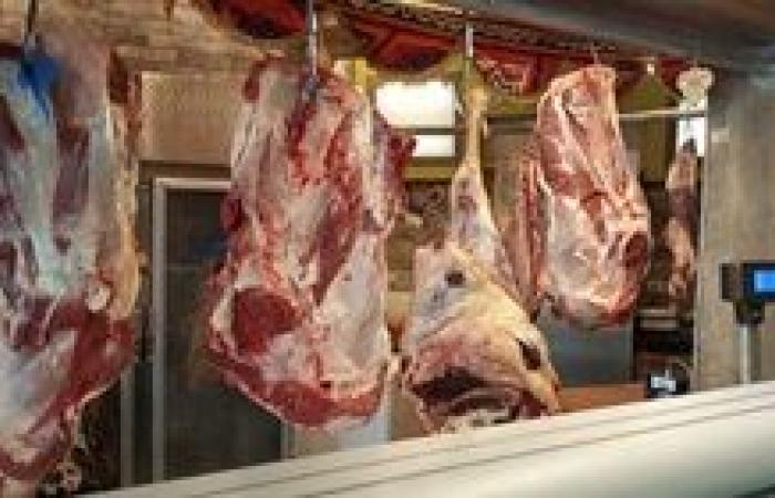 شرطة التموين تضبط 121 طن لحوم مجهولة المصدر وغير صالح للاستهلاك الادمى