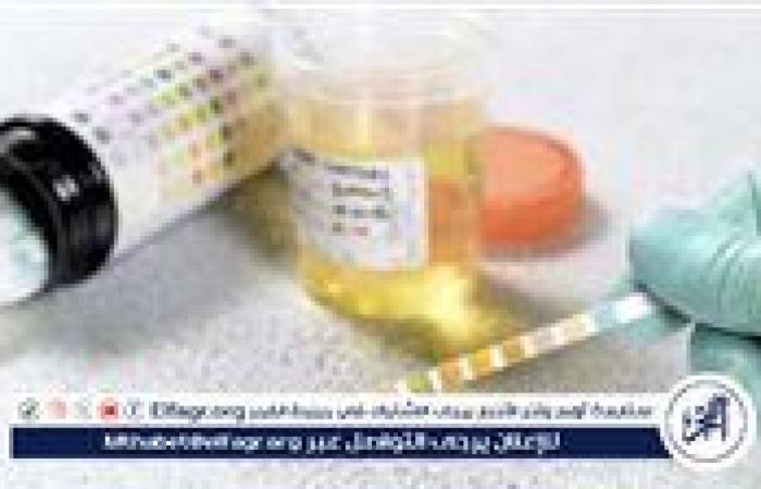 تعاطي مخدرات.. التحقيق مع سائق عرض حياة المواطنين للخطر بالمطرية