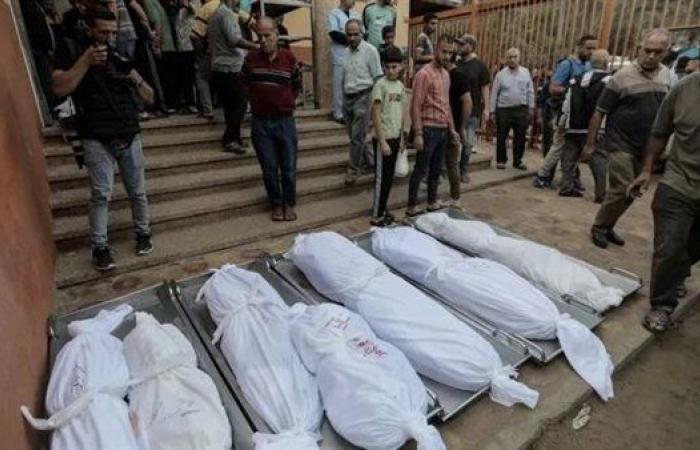"صحة غزة": ارتفاع عدد ضحايا المجاعة وسوء التغذية لـ271 شهيدًا بينهم 112 طفلاً