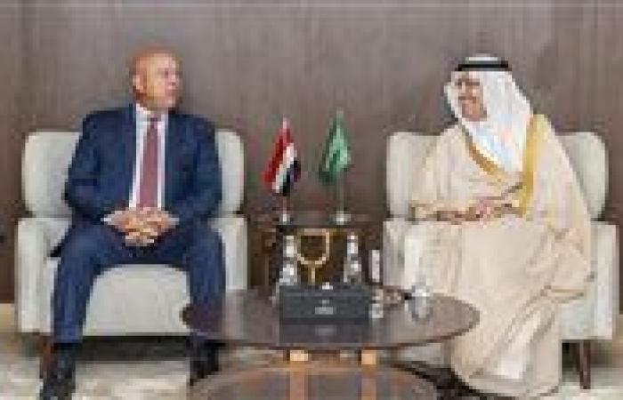 مصر والسعودية تبحثان سبل تفعيل مجلس التنسيق الأعلى المشترك