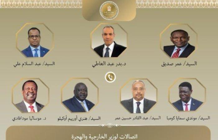 مصر.. وزير الخارجية يُجري اتصالات مع عدد من نظرائه في الدول الإفريقية لتعزيز التعاون الثنائي والإقليمي