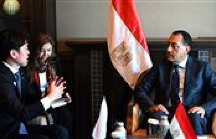 مدبولي: مصر لديها رغبة في توطين تكنولوجيا تحلية المياه