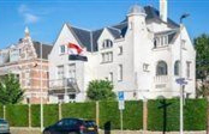 خبير قانوني: ما حدث ضد البعثات المصرية في نيويورك ولاهاي انتهاك صارخ لاتفاقية فيينا