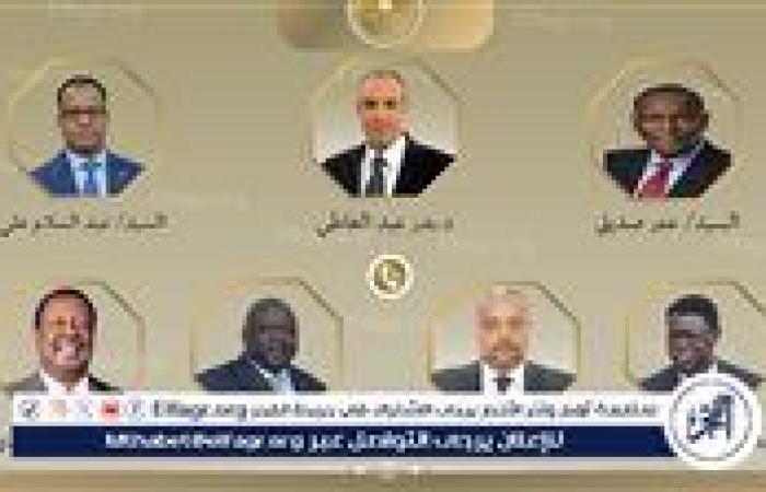 وزير الخارجية يجري اتصالات مع نظرائه الأفارقة لتعزيز التعاون الإقليمي