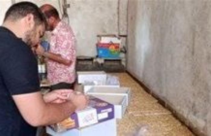 صحة سوهاج تضبط أكثر من 650 كيلو من حلوى المولد المغشوشة ومجهولة المصدر بالمراغة وطهطا