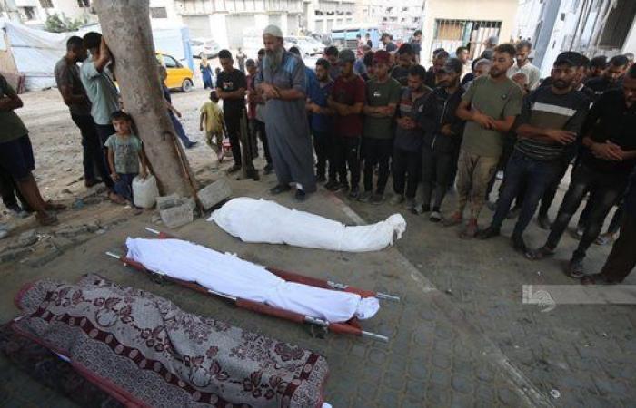 "صحة غزة": 71 شهيدا و251 مصابا خلال الـ 24 ساعة الماضية
