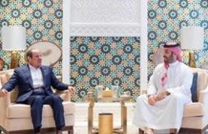 رئيس قوي عاملة النواب يشيد بزيارة الرئيس السيسي للسعودية
