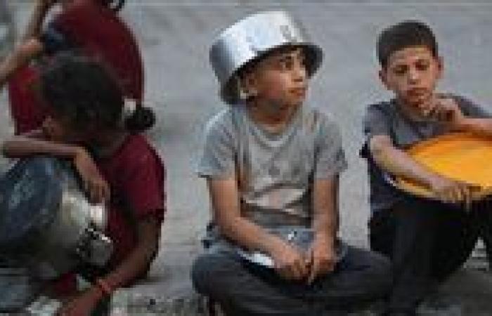 الهلال الأحمر الفلسطيني: تقرير الأمم المتحدة عن المجاعة في غزة نتيجة متوقعة لصمت العالم