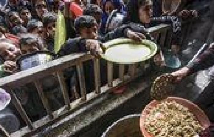 عاجل| الأمم المتحدة تعلن رسميا تفشي المجاعة بغزة