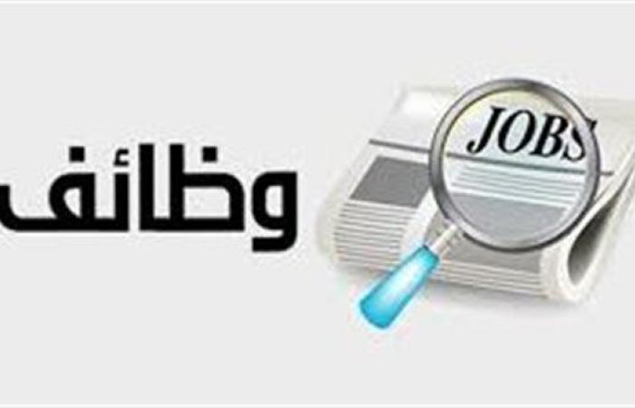 آخر موعد للتقديم.. وظائف مش هتتعوض بالسعودية برواتب تصل إلى 80 ألف جنيه شهريا