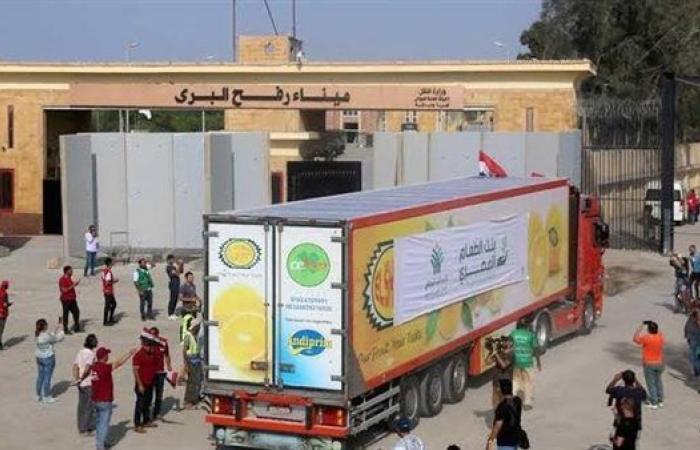 وزير الصحة الفلسطيني يشكر مصر على دعم أهالي غزة