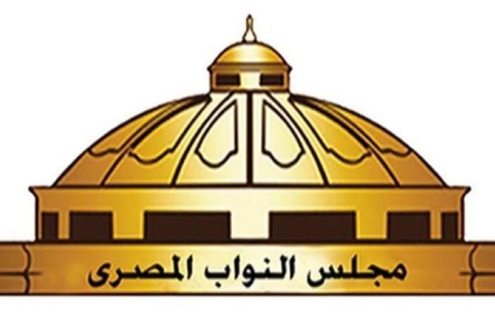 برلماني: تمكين الشباب وتوسيع قاعدة الترشح يُشجع على التفاعل مع الحياة السياسية