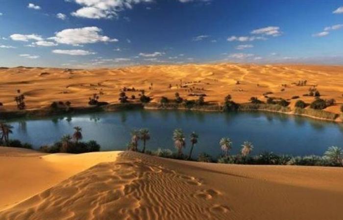 "المستثمرين الأفروآسيوي": ايرادات السياحة ...