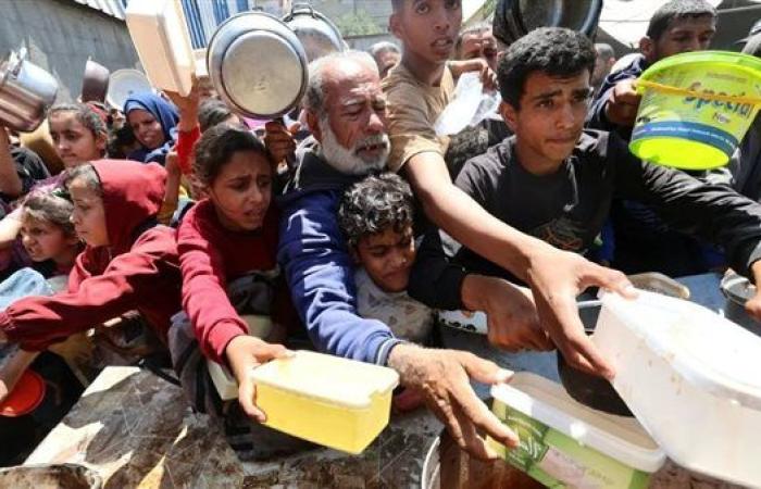 كريستيان ليندماير: إعلان الأمم المتحدة غزة منطقة مجاعة لحظة كارثية
